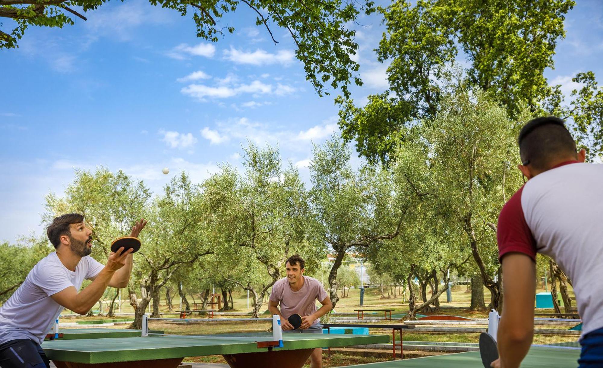 Aminess Planet Camping Maravea Resort - Pitches Novigrad  Bagian luar foto