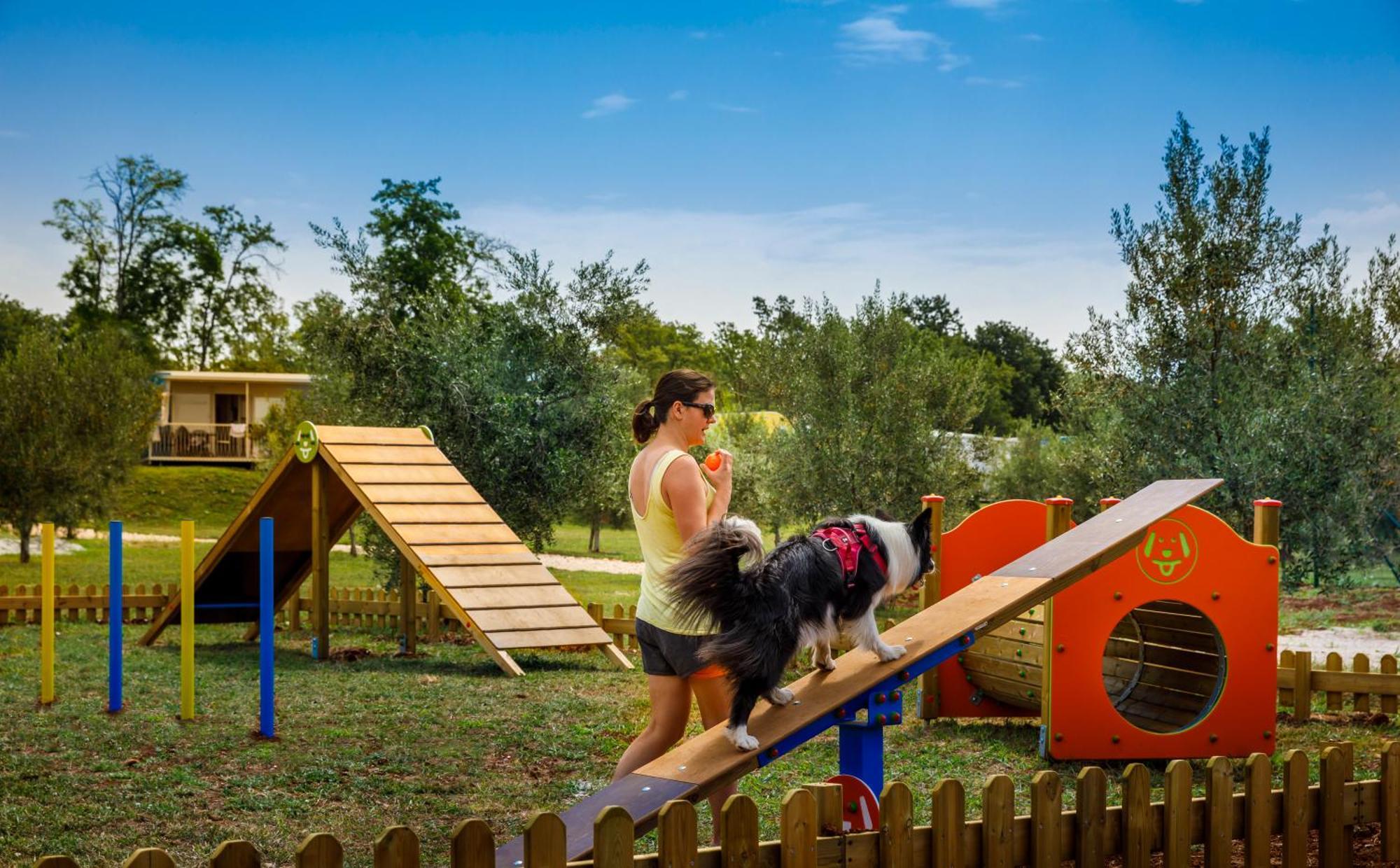 Aminess Planet Camping Maravea Resort - Pitches Novigrad  Bagian luar foto